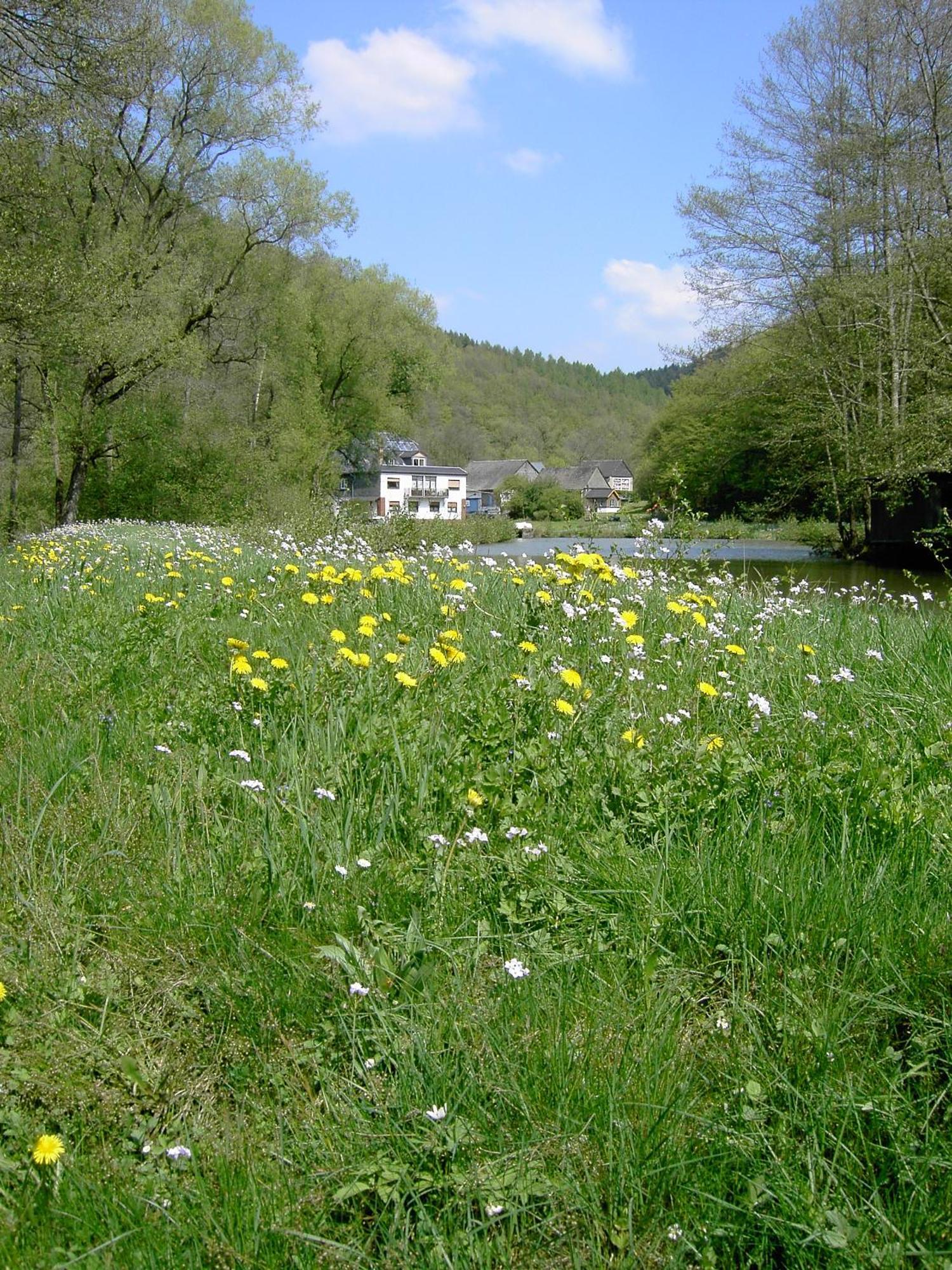 Pulgersmuehle, Eg * Altstrimmig